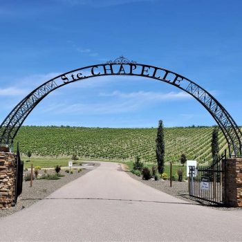 2020 WCR Wine Tasting