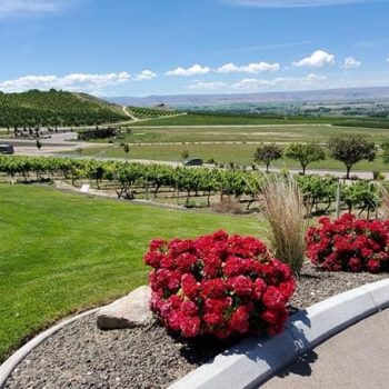 2020 WCR Wine Tasting