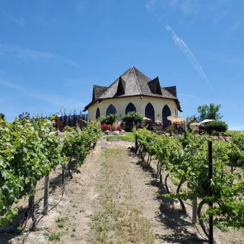 2020 WCR Wine Tasting